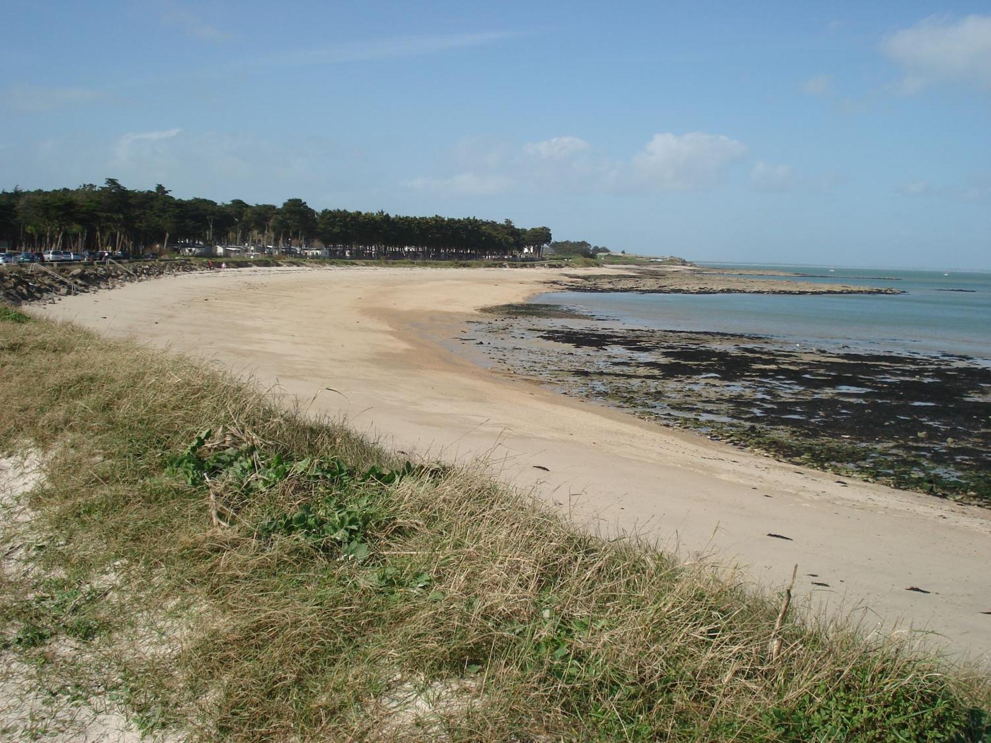 Panorama Vue Mer Quiberon Eksteriør bilde