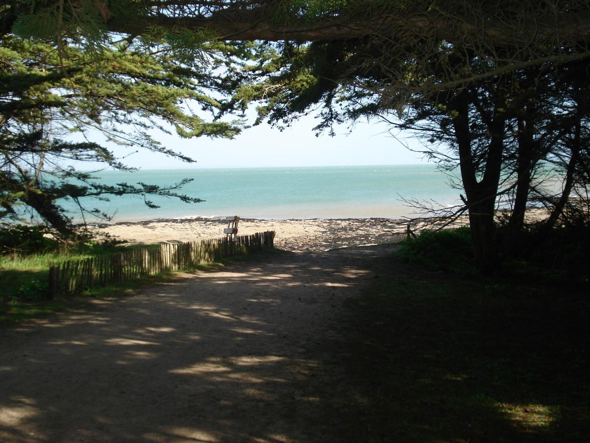 Panorama Vue Mer Quiberon Eksteriør bilde