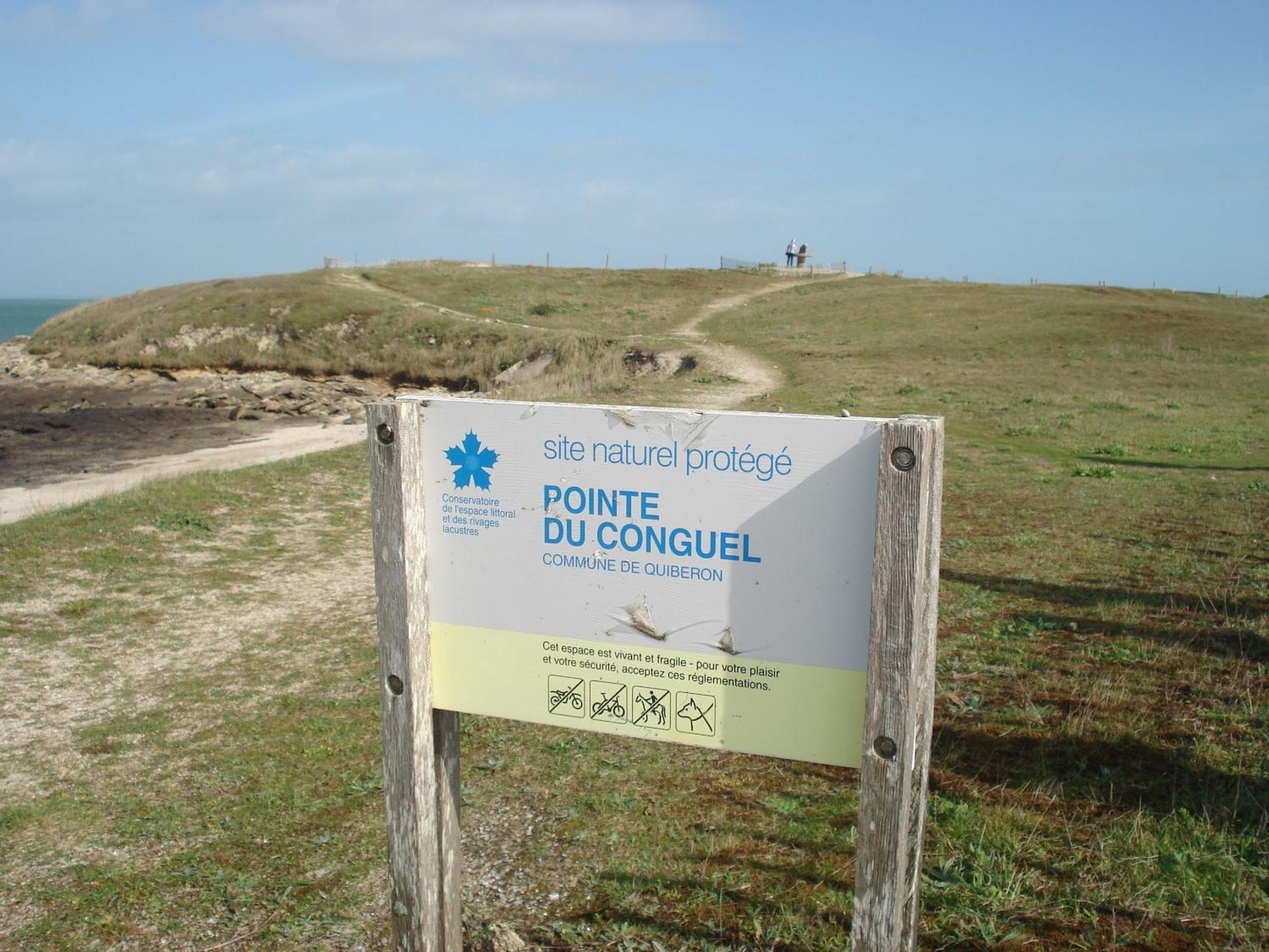 Panorama Vue Mer Quiberon Eksteriør bilde