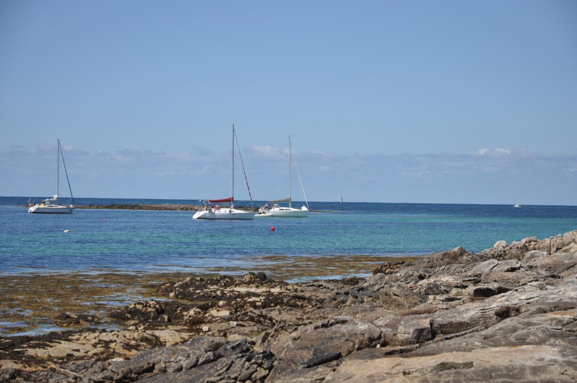 Panorama Vue Mer Quiberon Eksteriør bilde