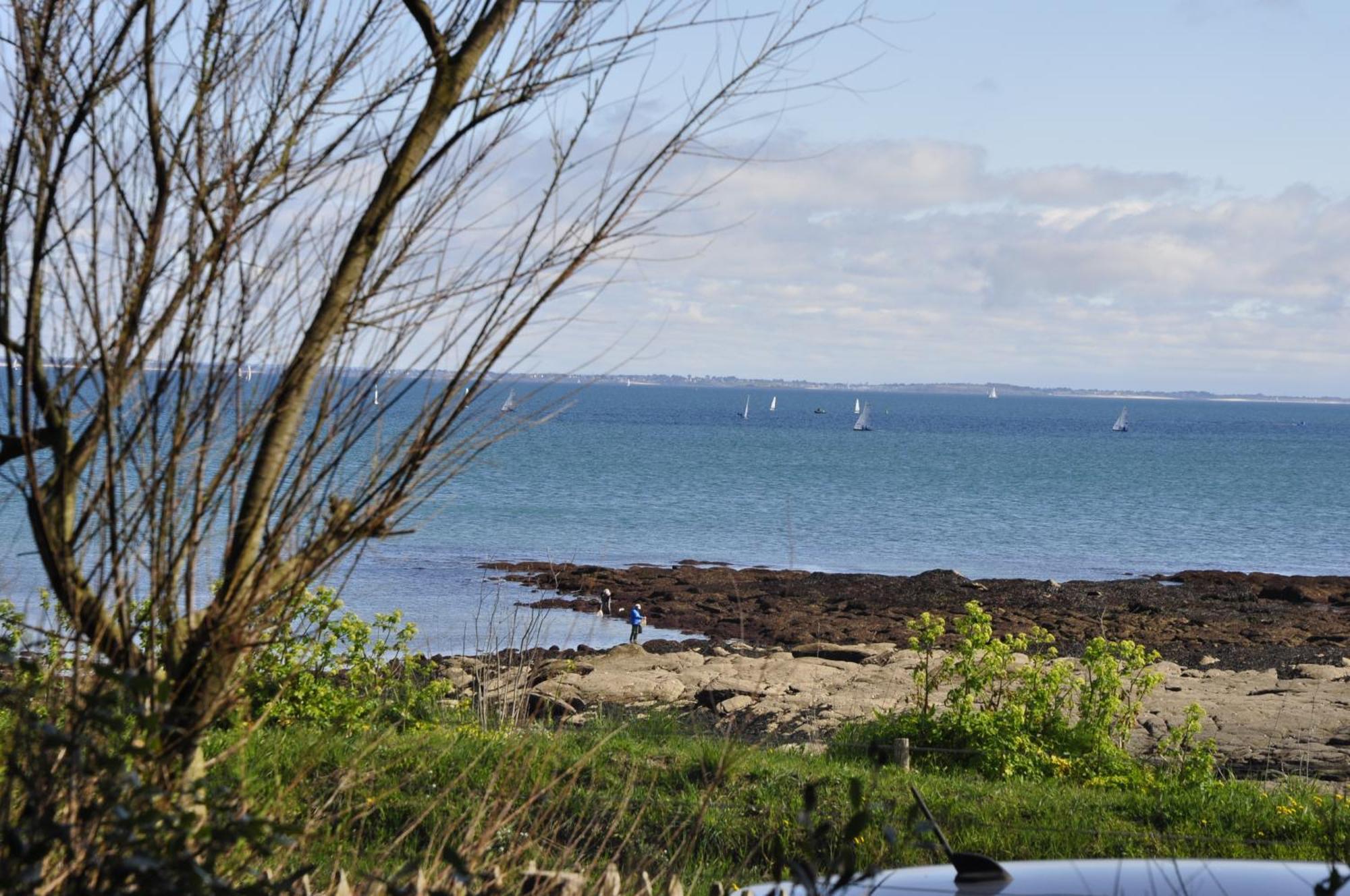Panorama Vue Mer Quiberon Eksteriør bilde
