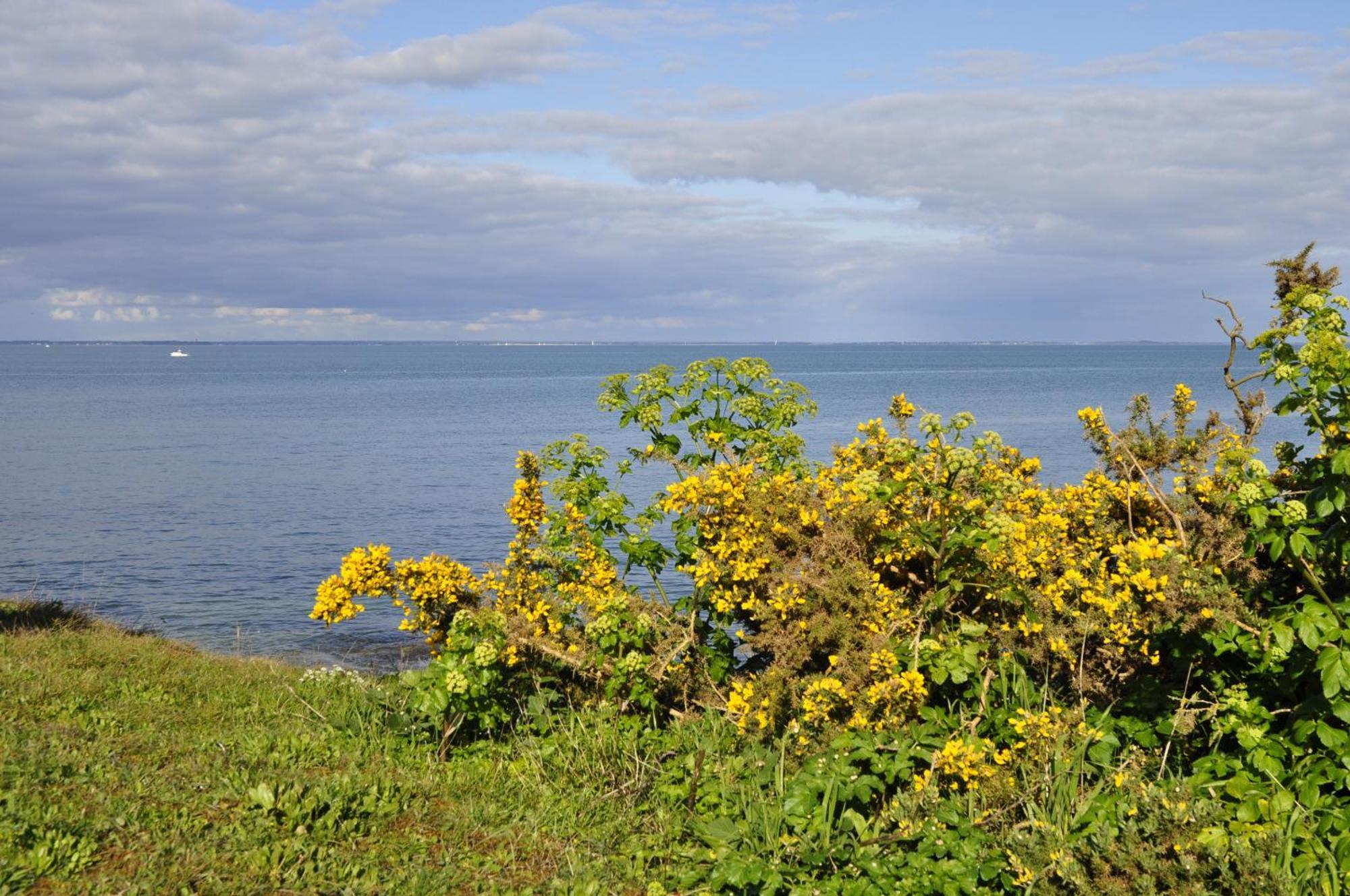 Panorama Vue Mer Quiberon Rom bilde