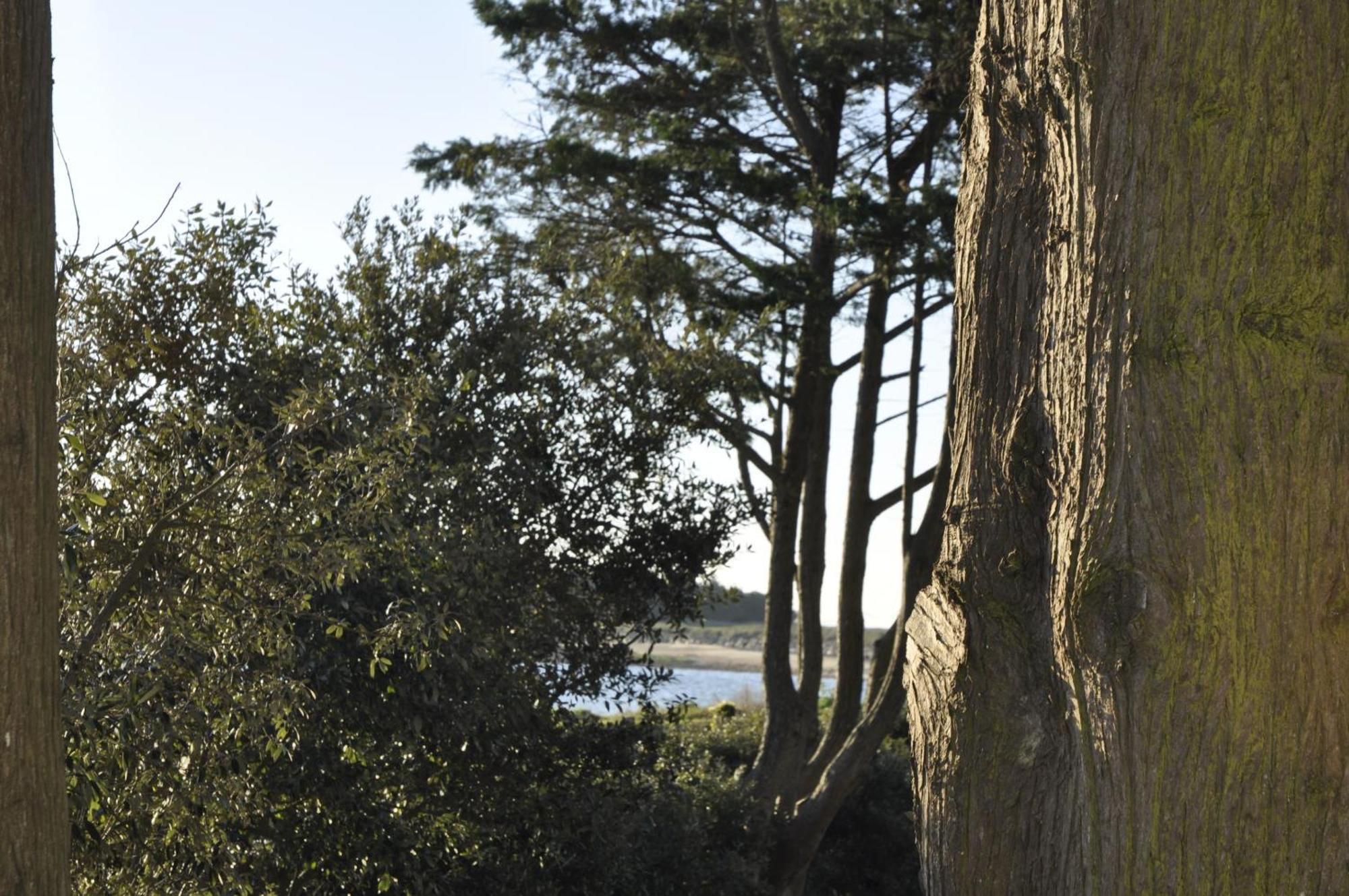 Panorama Vue Mer Quiberon Eksteriør bilde
